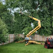 Best Tree and Shrub Care  in Millington, NJ