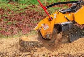 Best Lawn Watering Services  in Millington, NJ